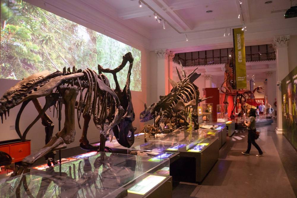 Kinh nghiệm du lịch an toàn khi tới Sydney Australia 11