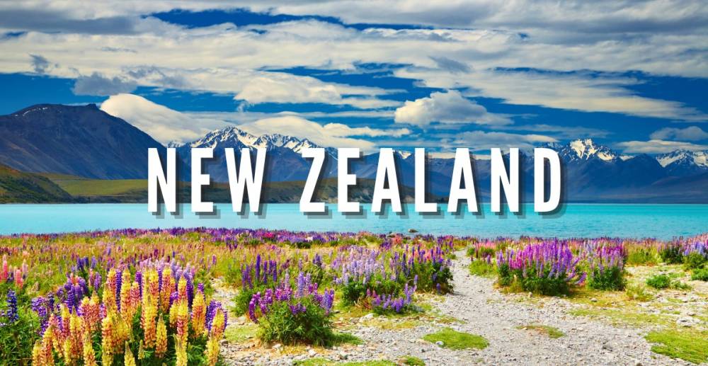 Kinh nghiệm du lịch New Zealand từ A-Z: Hành trình khám phá xứ sở Kiwi ảnh 1