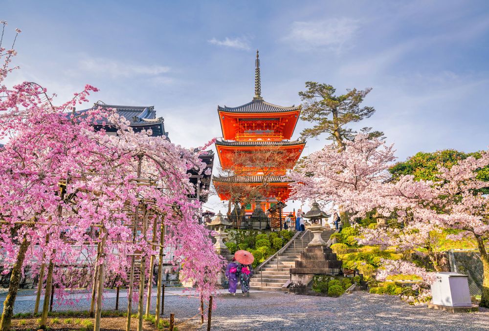 Kyoto - cố đô của những nét truyền thống Nhật Bản 3