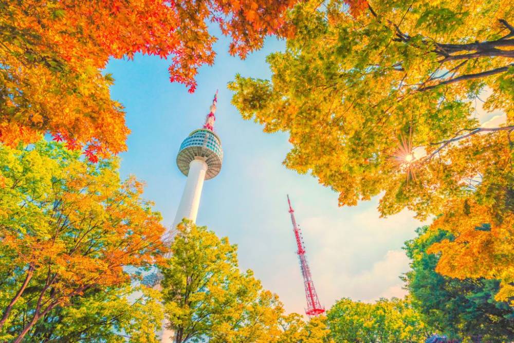 Lịch ngắm mùa thu lá vàng Hàn Quốc 2023 ảnh 5