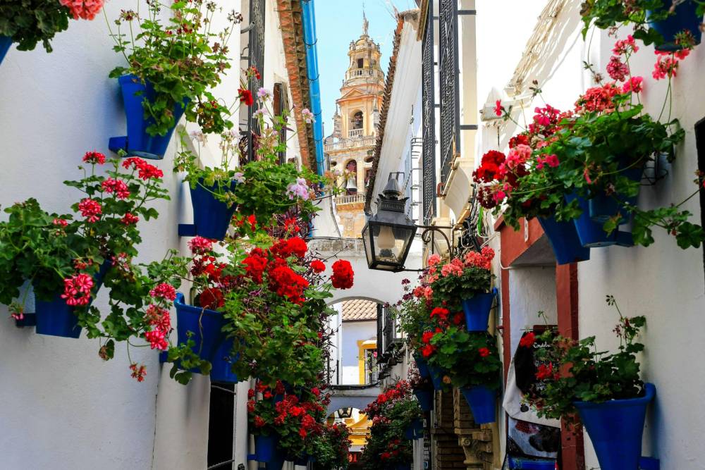 Mê mẫn những cung đường ngập sắc hoa trên thế giới ảnh 6