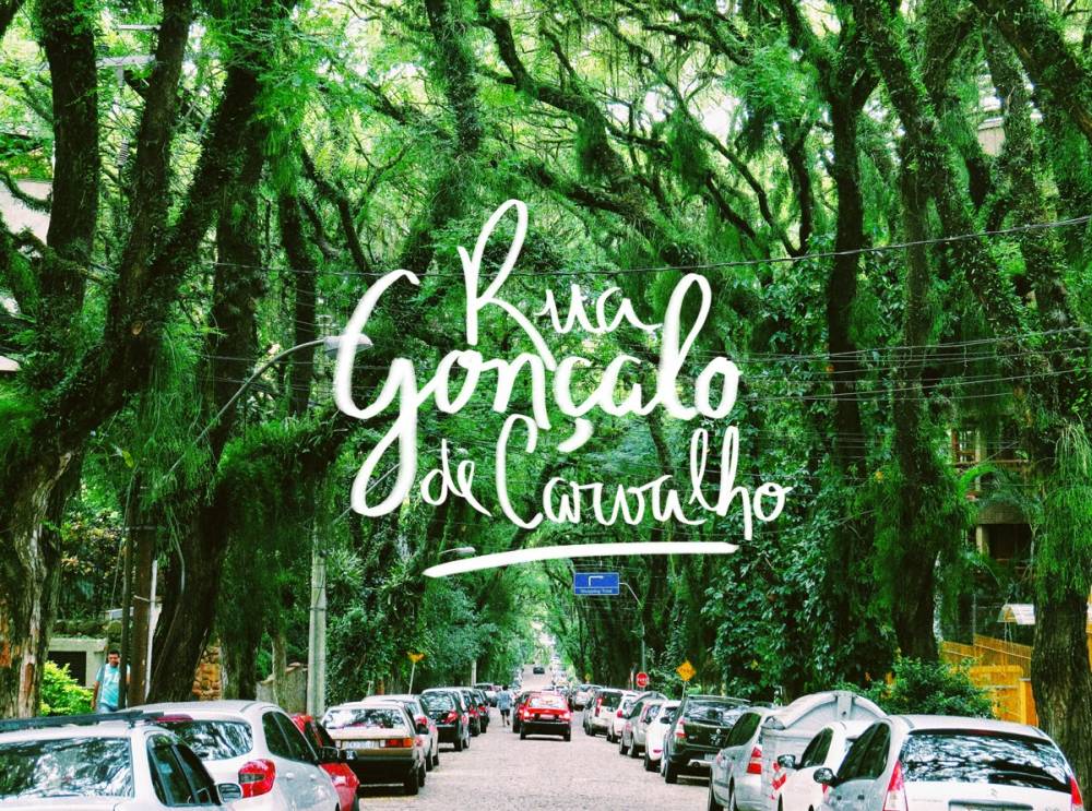 Mê mẫn những cung đường ngập sắc hoa trên thế giới ảnh 7