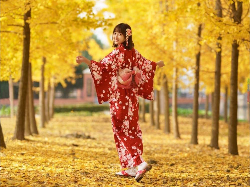 Mùa lá vàng lá đỏ tại Nhật Bản đến muộn hơn trong năm nay ảnh 3