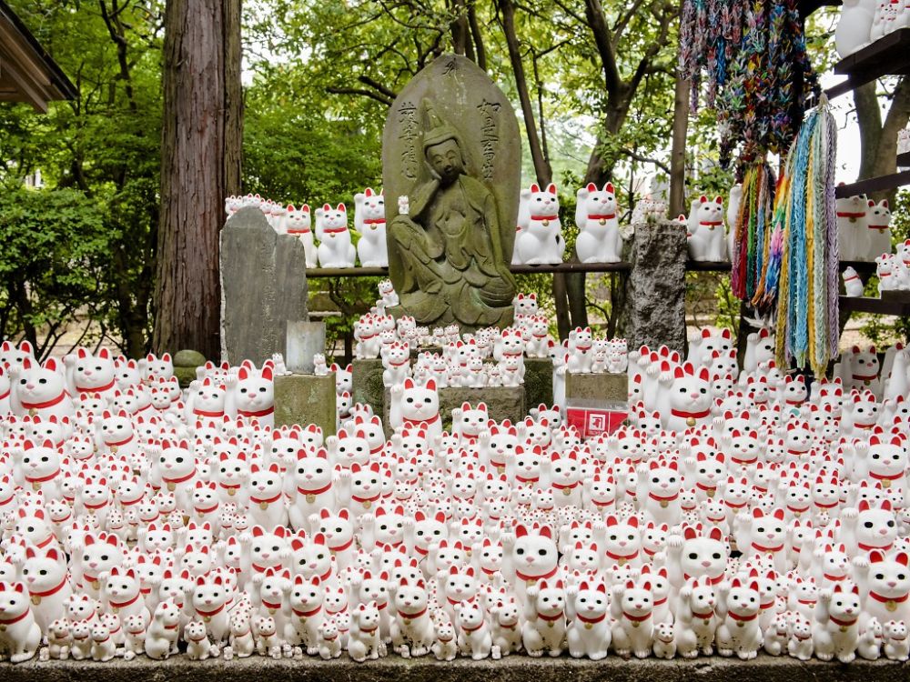 Mua quà gì trong chuyến du lịch Tokyo Nhật Bản ảnh 2