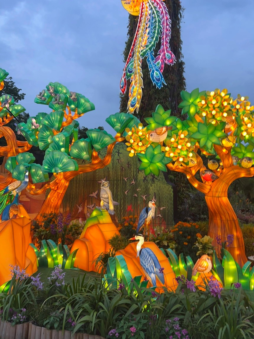 Muôn màu Lễ hội Trung thu của Singapore 4