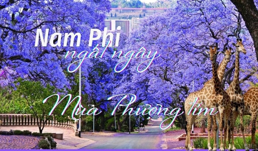 Du lịch Nam Phi mùa phượn tím
