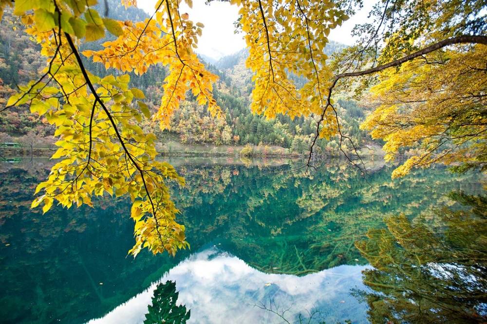 Mùa thu nhuộm vàng cây, lá ở Trung Quốc ảnh 10