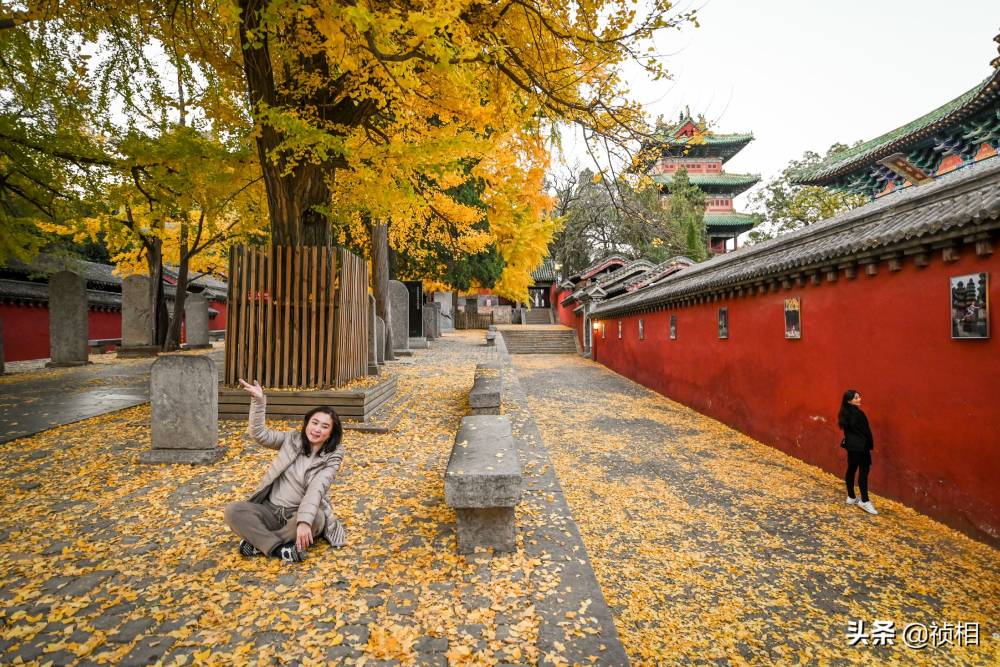 Mùa thu nhuộm vàng cây, lá ở Trung Quốc ảnh 1