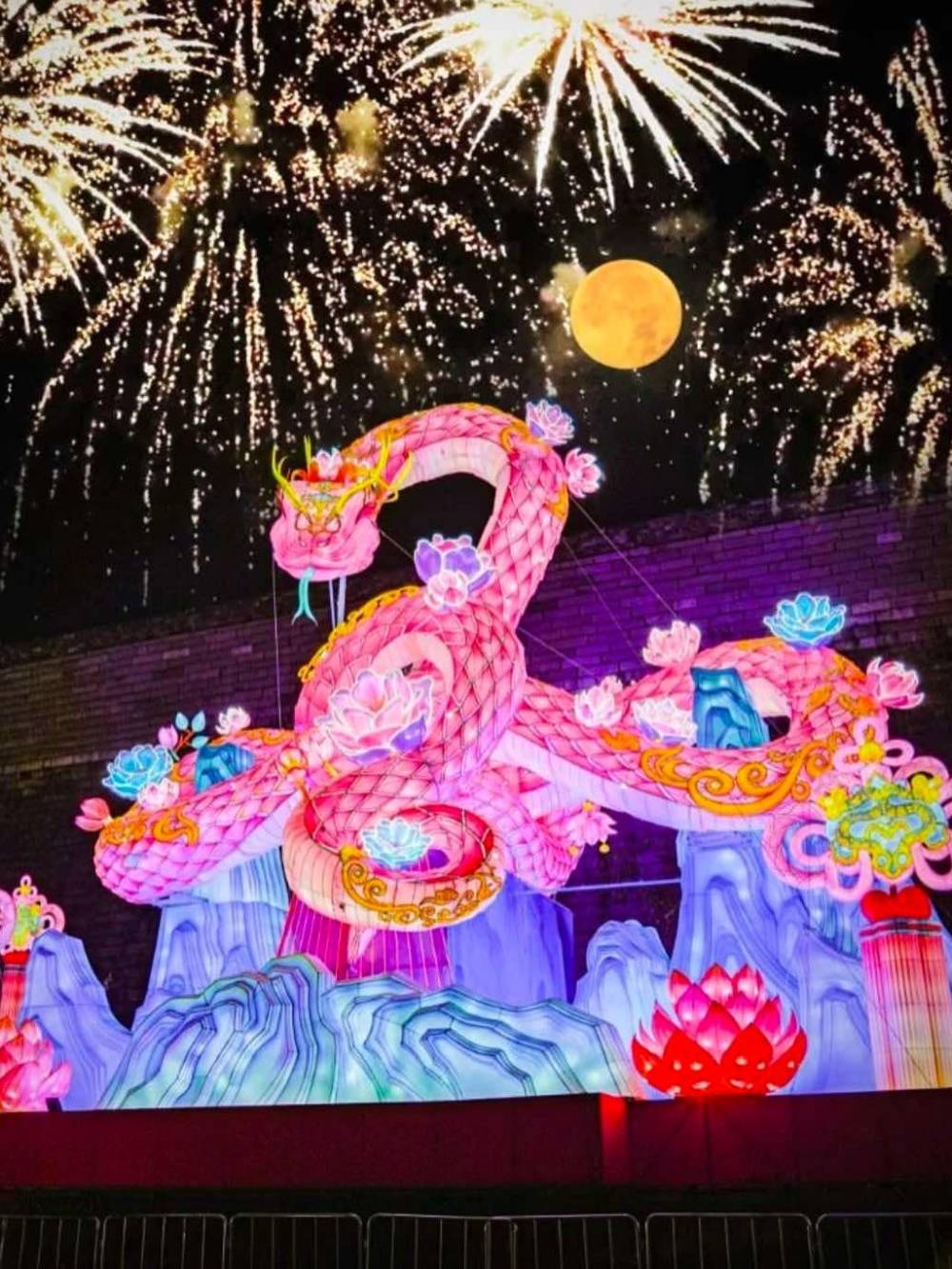 Ngỡ ngàng hàng loạt linh vật rắn gây bão tại Trung Quốc ảnh 16