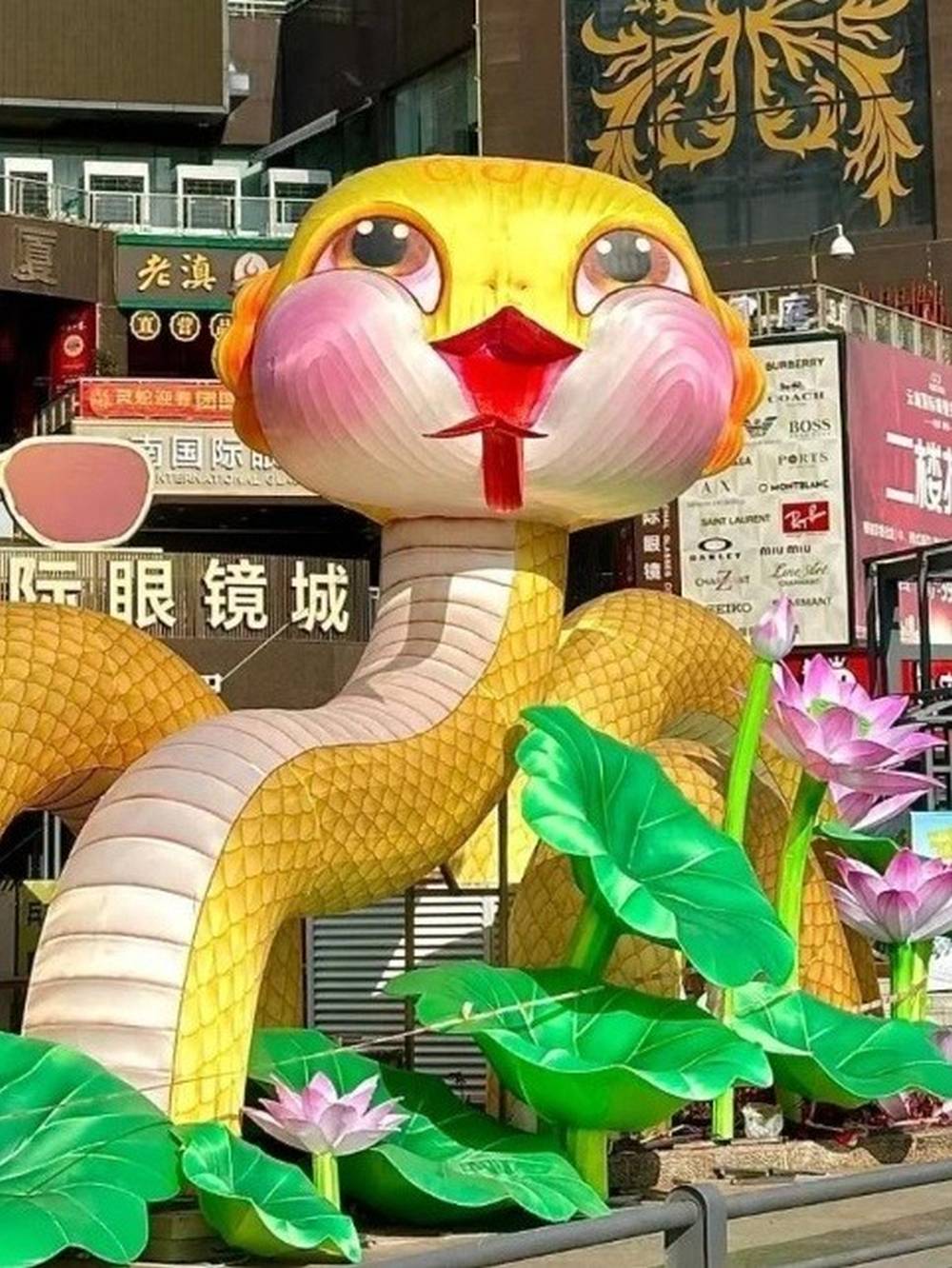 Ngỡ ngàng hàng loạt linh vật rắn gây bão tại Trung Quốc ảnh 6