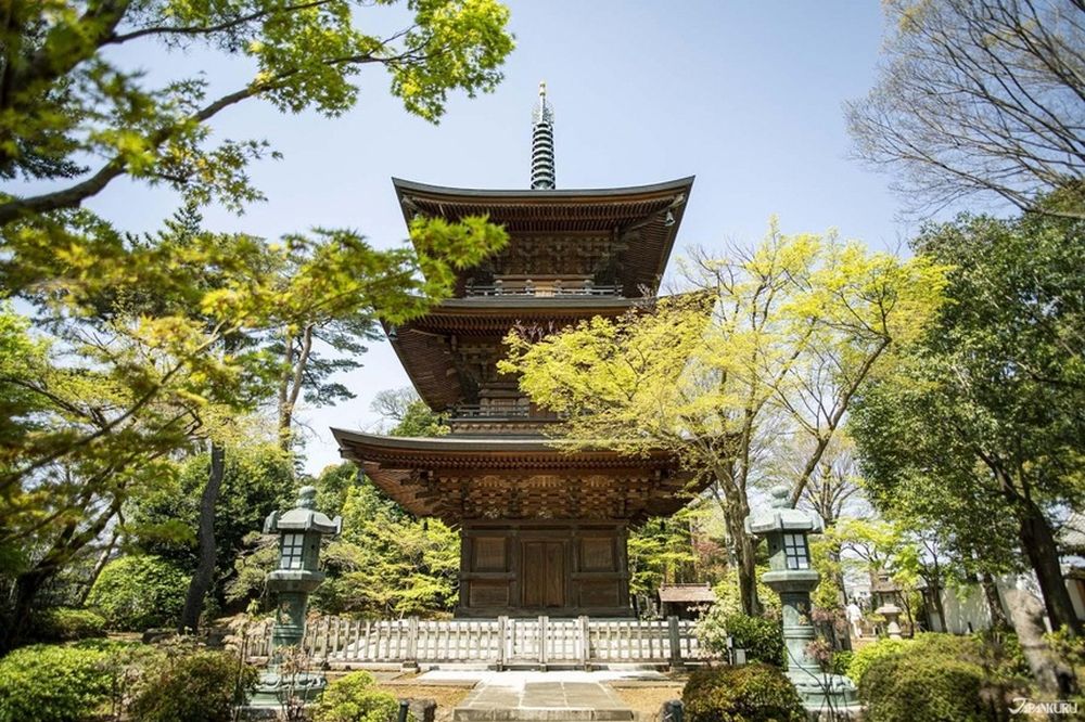 Ngôi đền có hàng nghìn tượng mèo vẫy tay ở Nhật Bản 8