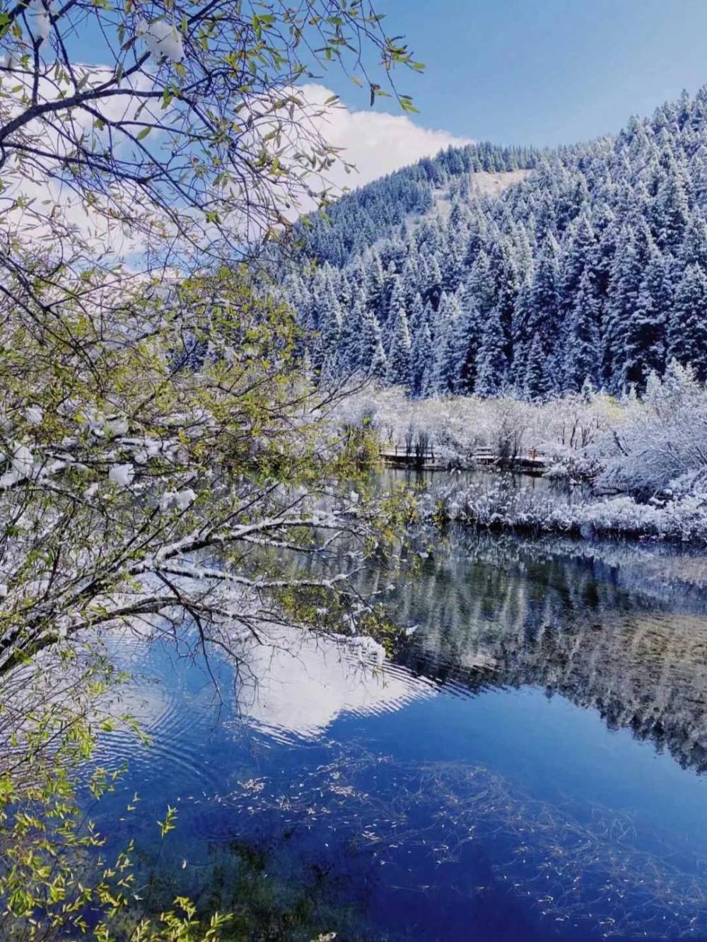 Cảnh đẹp ở Tứ Xuyên không thể bỏ lỡ khi du lịch Trung Quốc 18