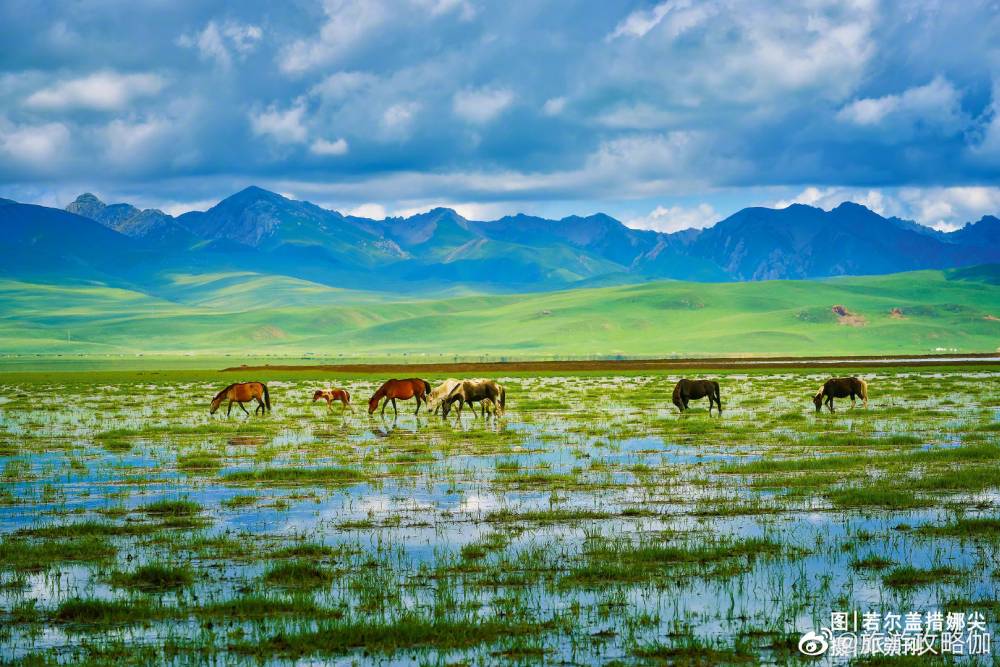 Cảnh đẹp ở Tứ Xuyên không thể bỏ lỡ khi du lịch Trung Quốc 34