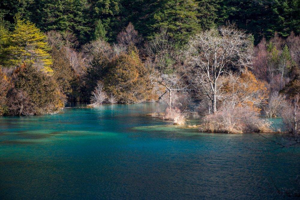 Cảnh đẹp ở Tứ Xuyên không thể bỏ lỡ khi du lịch Trung Quốc 5