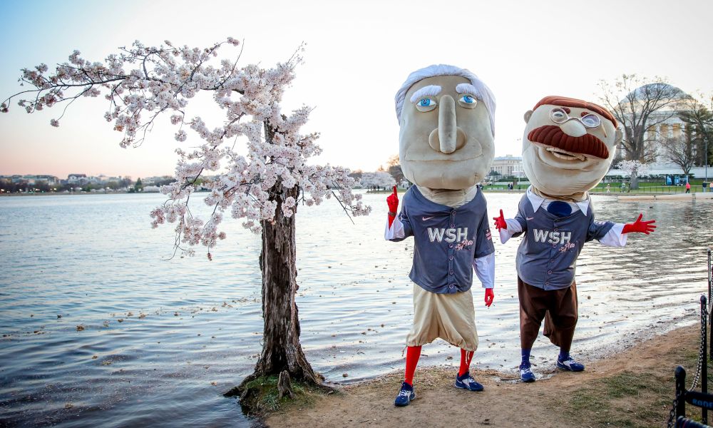 Những cây anh đào ra hoa lần cuối ở thủ đô nước Mỹ - Ảnh 8