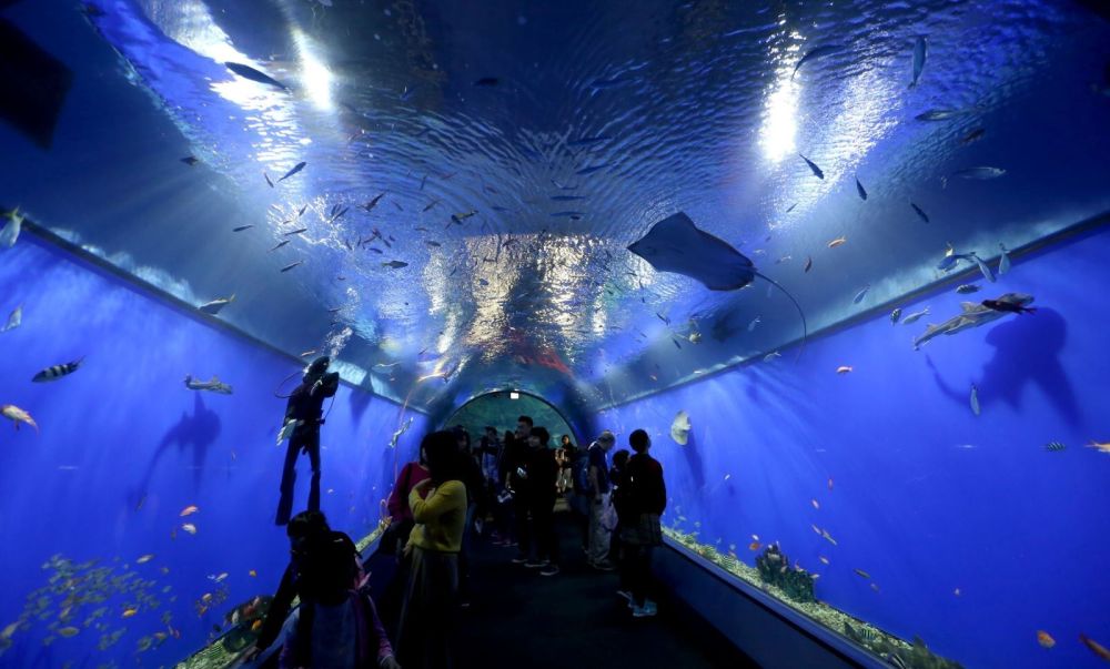 Những địa điểm du lịch hấp dẫn ở Osaka 16