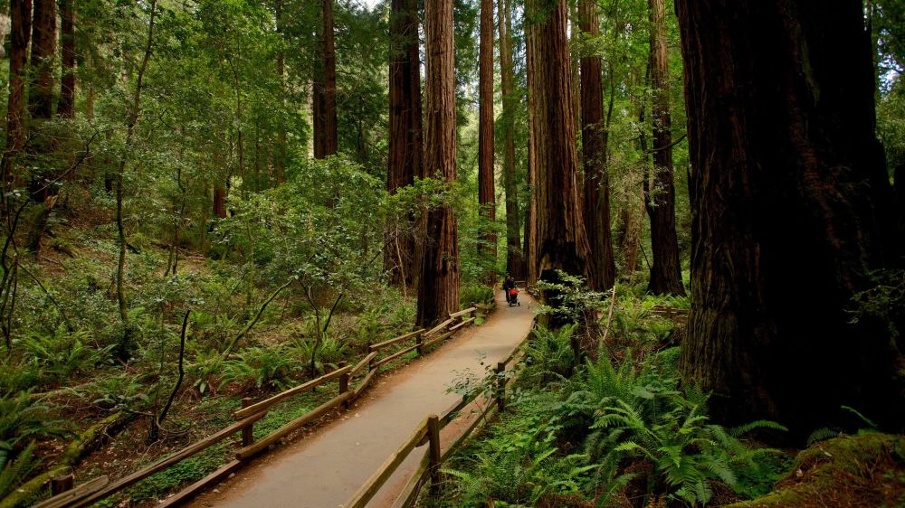 địa điểm du lịch mỹ 19