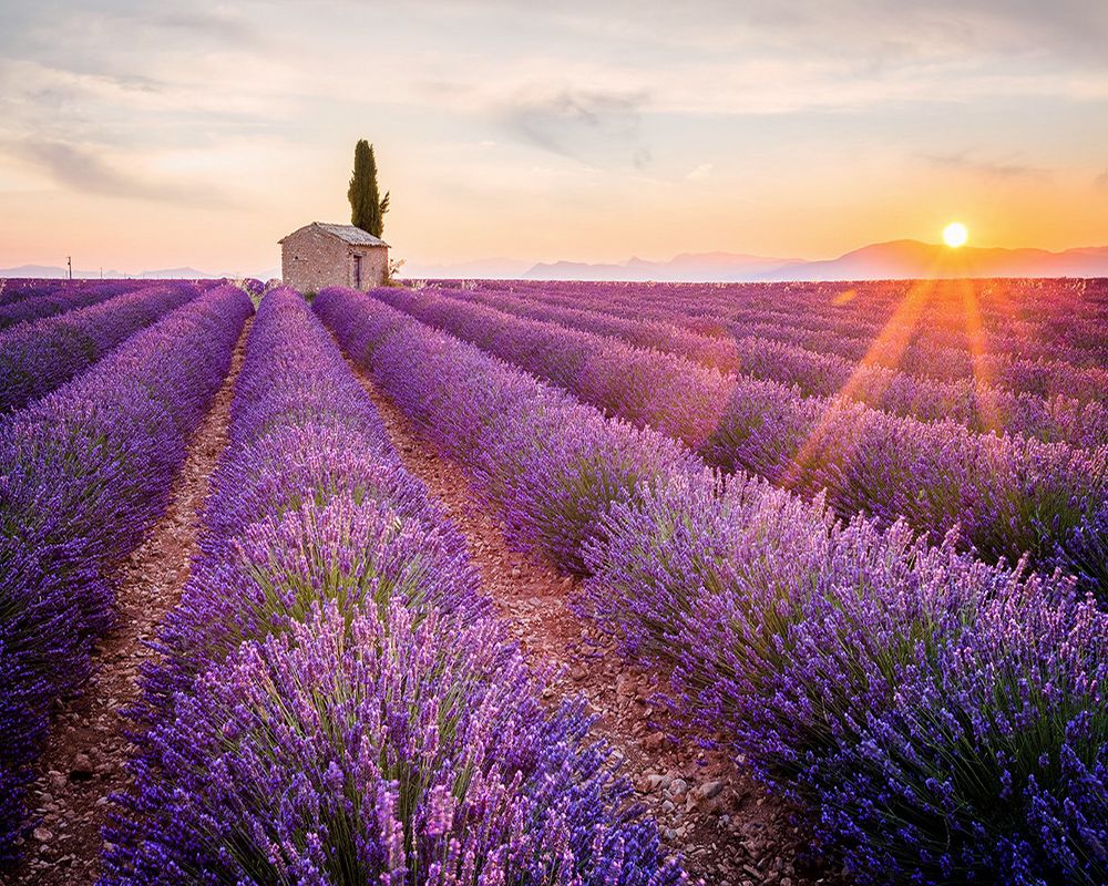 Những điểm đến đẹp nhất nước Pháp 7