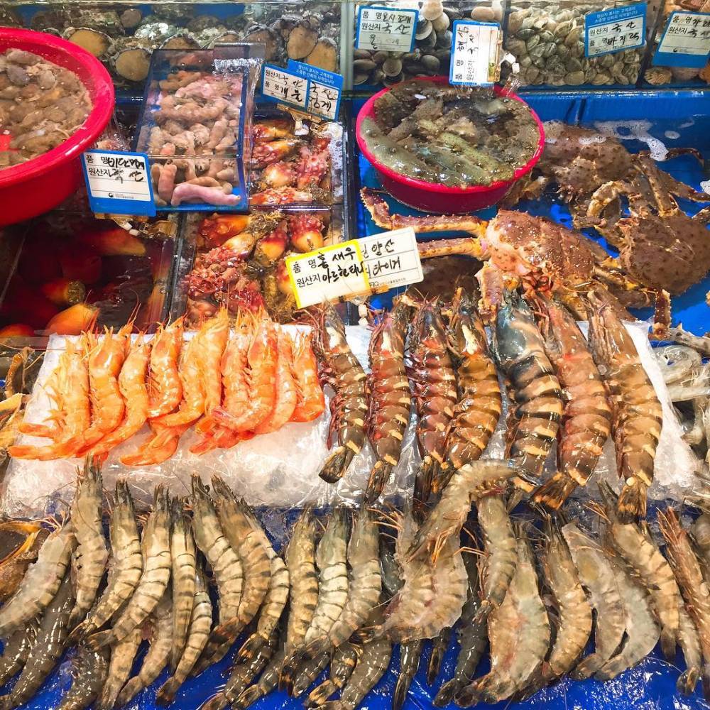 Những điều phải làm ngay khi tới Seoul Hàn Quốc 5