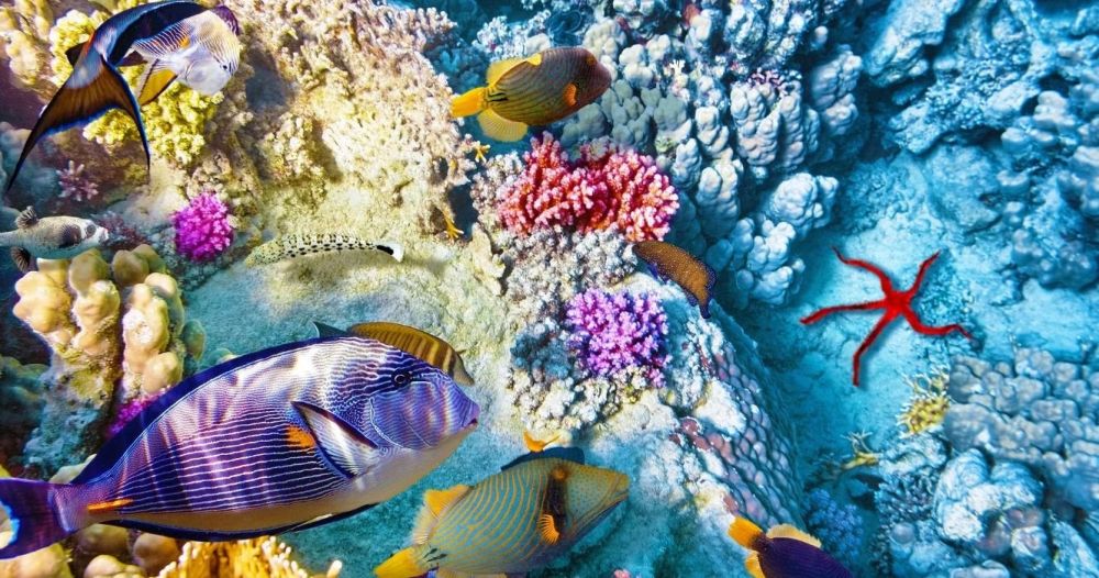 Những kỳ quan hùng vĩ ít được biết đến trên thế giới 2