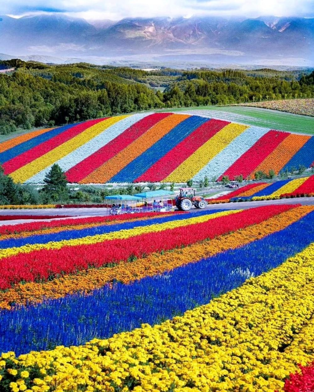 Những lý do khiến Nhật Bản thu hút du khách vào mùa hè - Ảnh 1