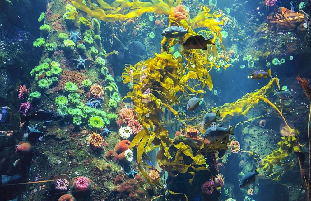 Những sân bay thú vị nhất thế giới chờ du khách khám phá ảnh 2