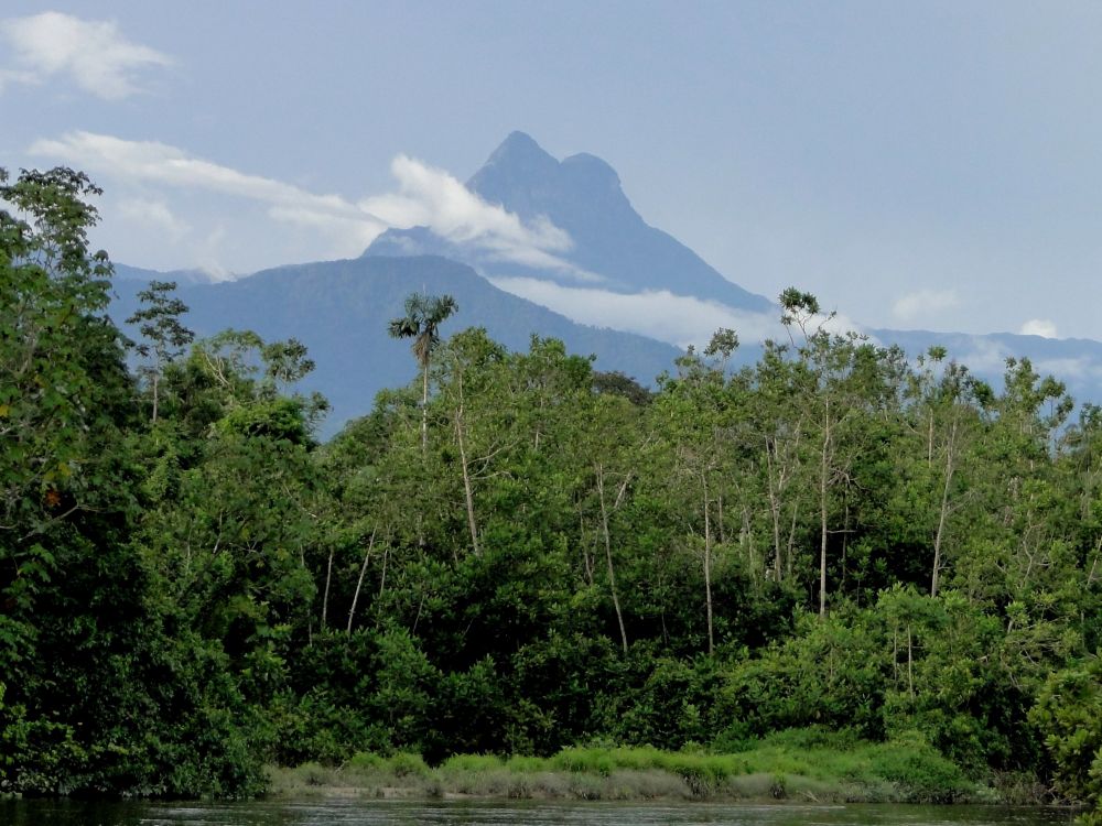 Những sự thật thú vị về Brazil ít người biết 4