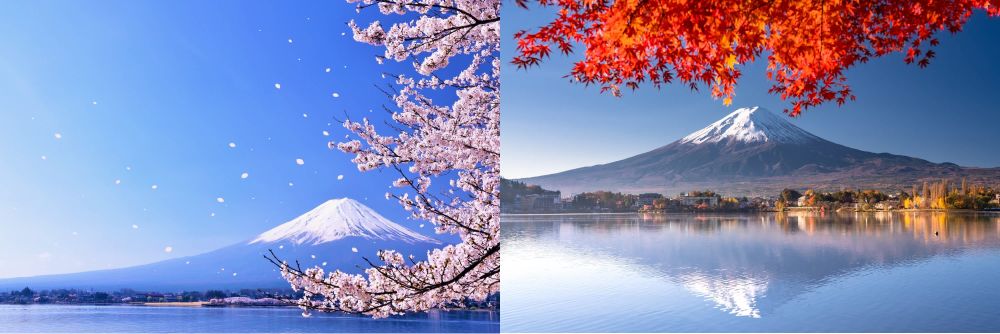 Trải nghiệm đặc sắc quanh núi Phú Sĩ - Ảnh 7