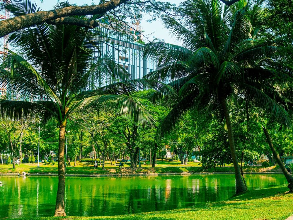 Những trải nghiệm phải thử khi du lịch Bangkok 3