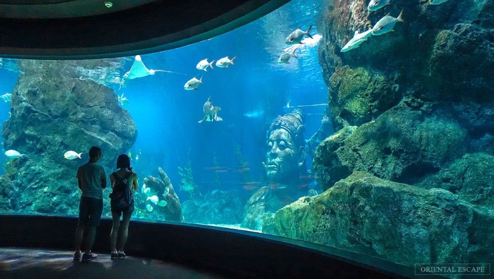 Những trải nghiệm phải thử khi du lịch Bangkok 8