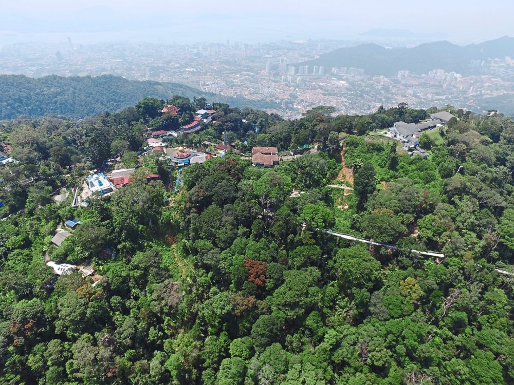 Penang Hill - Khu bảo tồn có rừng nhiệt đới triệu năm tuổi ở Malaysia 3