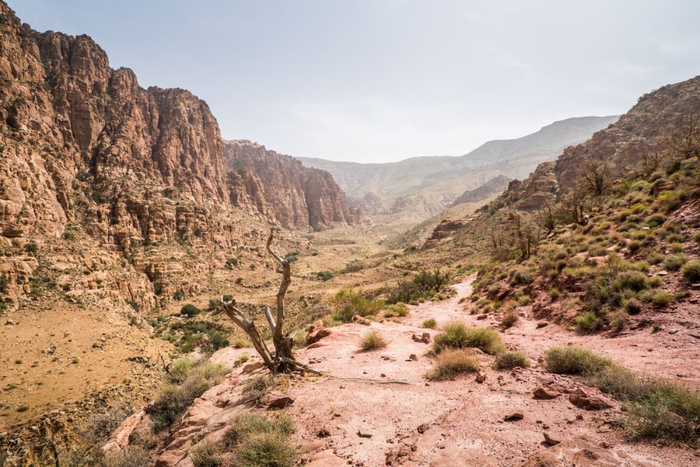 Petra kho báu từng bị lãng quên của Jordan P2 ảnh 16