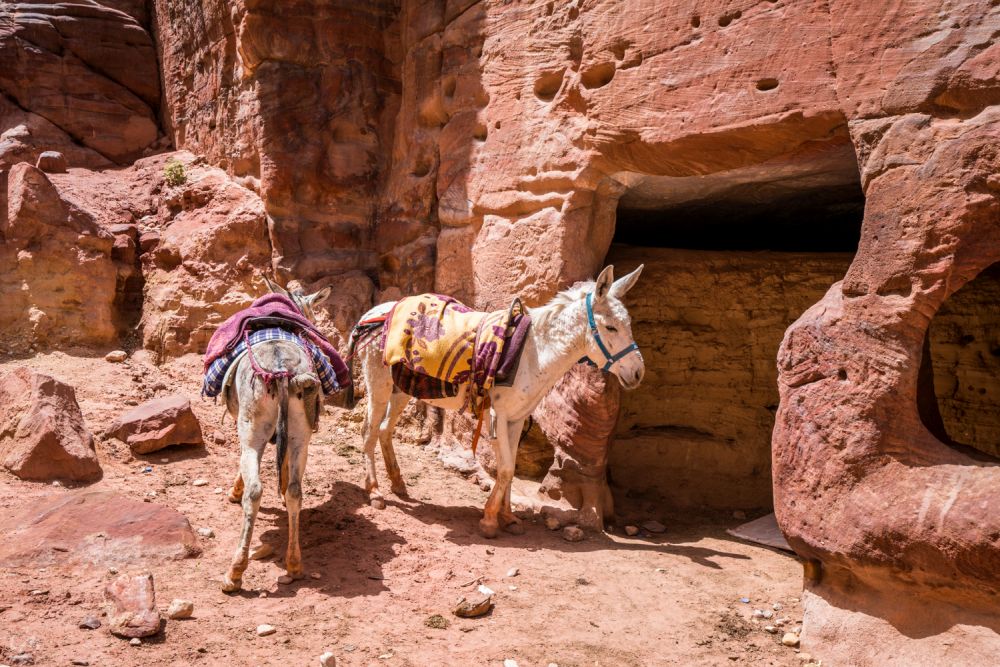 Petra kho báu từng bị lãng quên của Jordan P2 ảnh 18