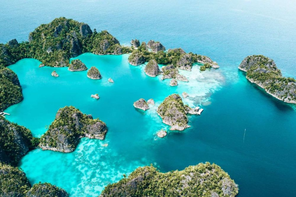Raja Ampat khám phá 'Trái Tim San Hô' – Thiên đường dưới đáy biển được UNESCO công nhận 1