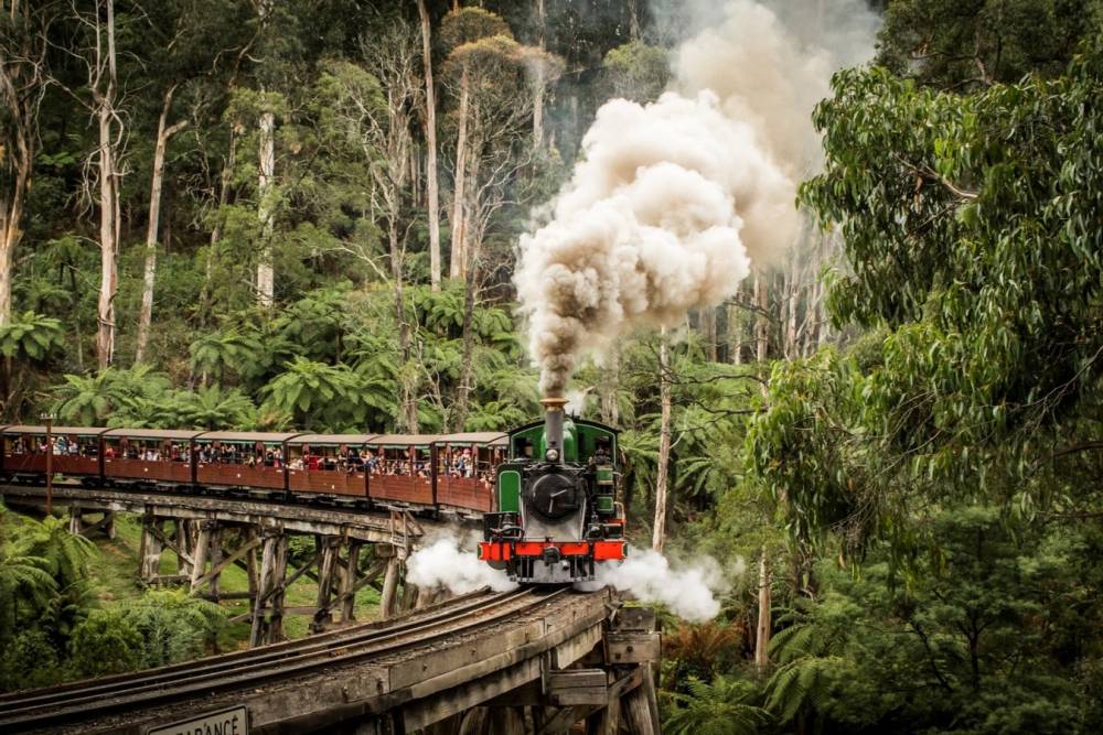 Rộn ràng vui xuân với Tour Úc chào năm mới 2025 ảnh 3