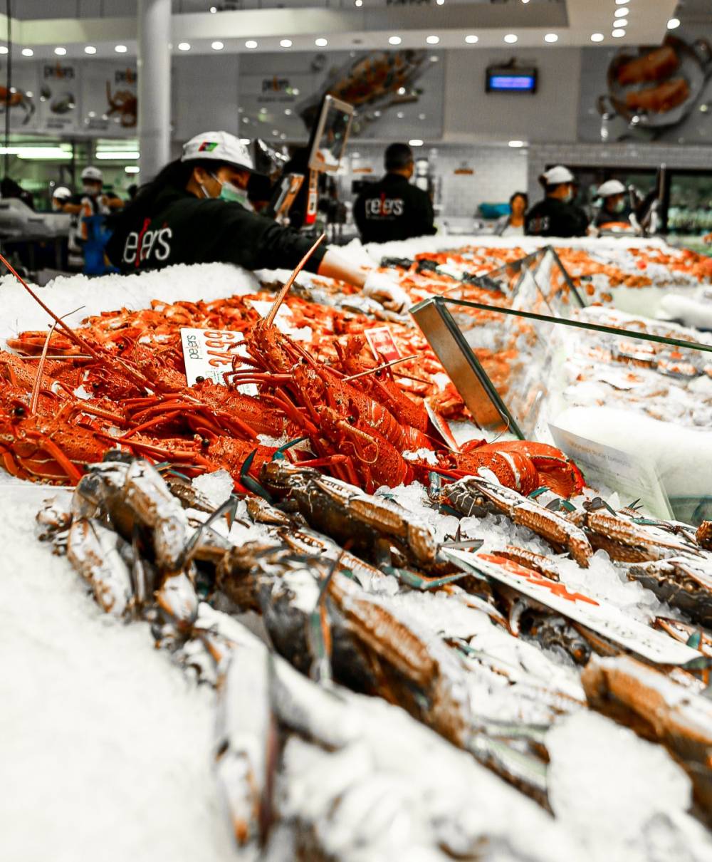 Rộn ràng vui xuân với Tour Úc chào năm mới 2025 ảnh 7