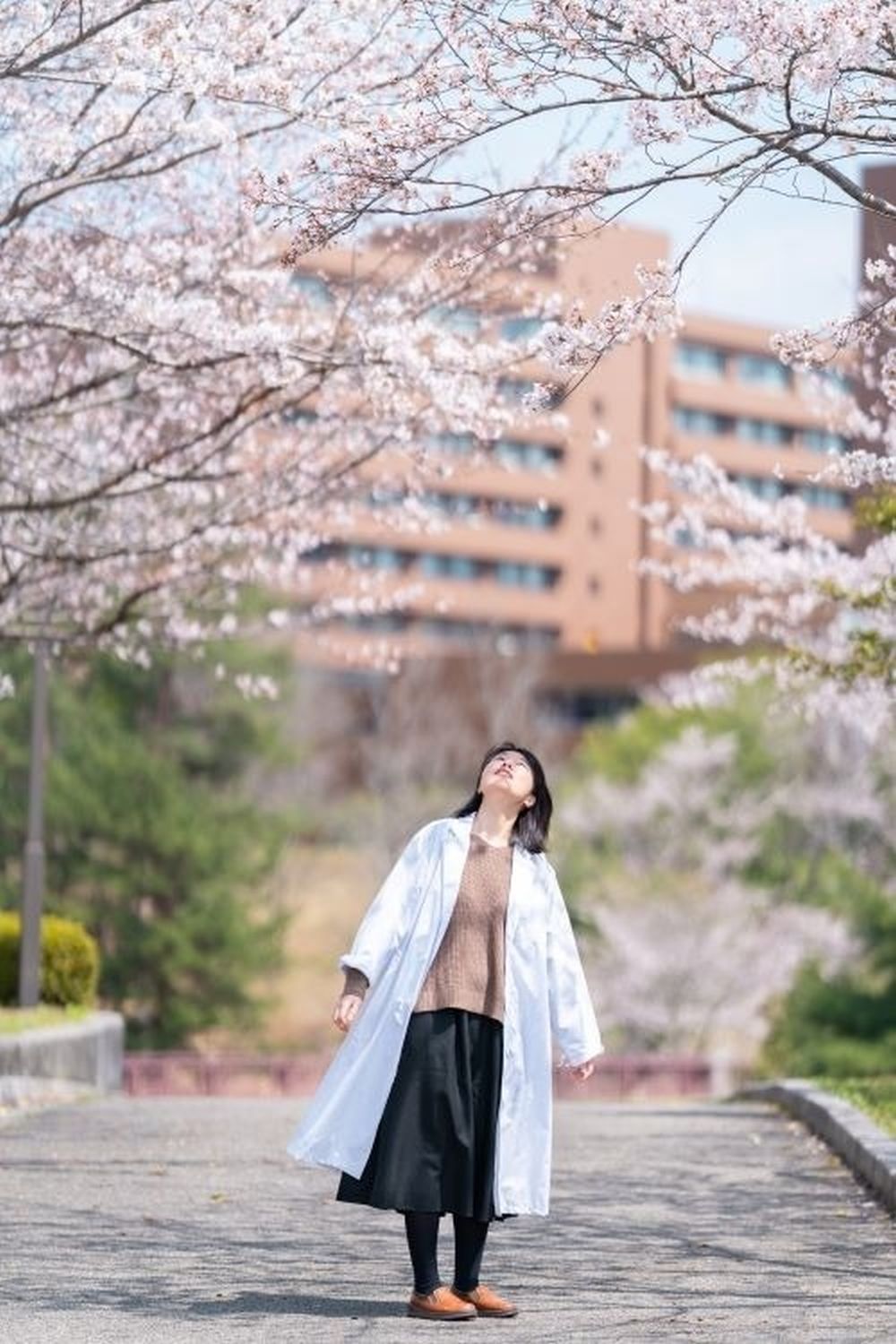 Sắc hoa anh đào nở rộ ở khắp các trường đại học - Ảnh 8