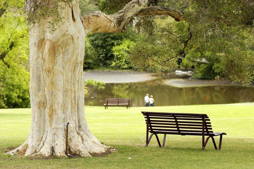 Sống chậm tại thiên đường mộng mơ Melbourne ảnh 10