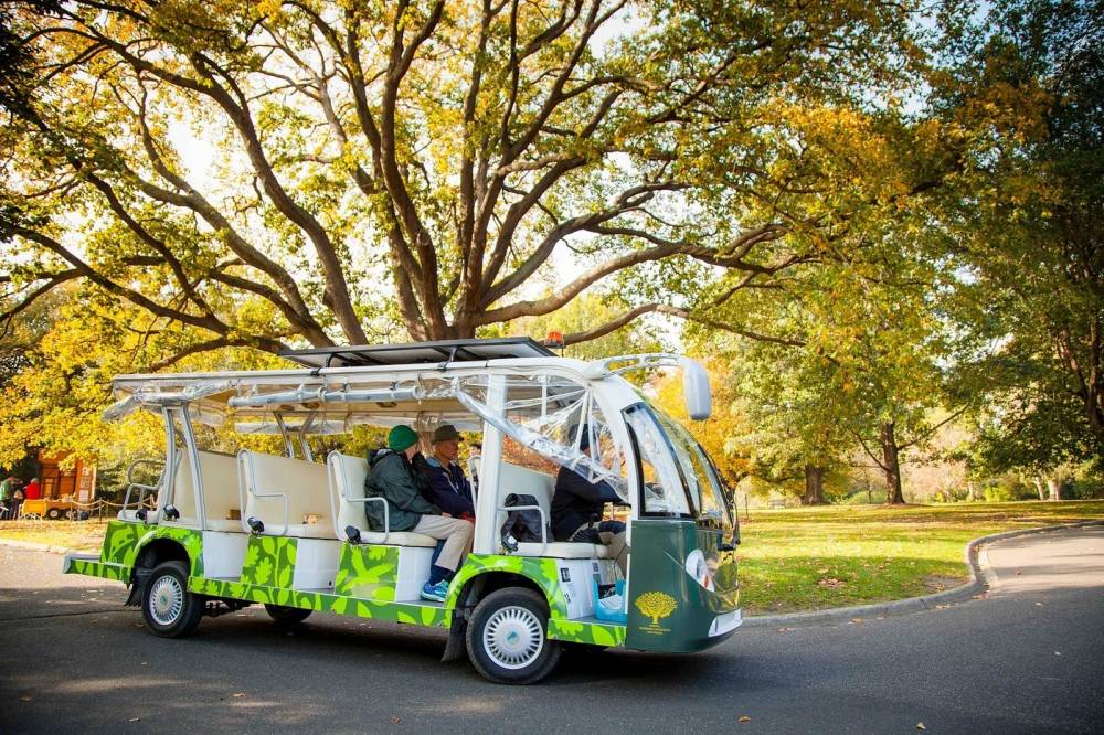 Sống chậm tại thiên đường mộng mơ Melbourne ảnh 11