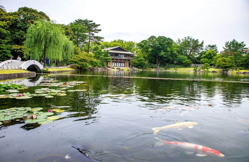 Sự thật về thành phố nhàm chán nhất Nhật Bản 4