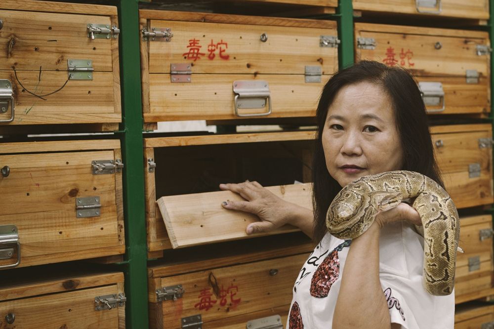 Súp rắn - món ăn sưởi ấm ngày đông buốt giá 5