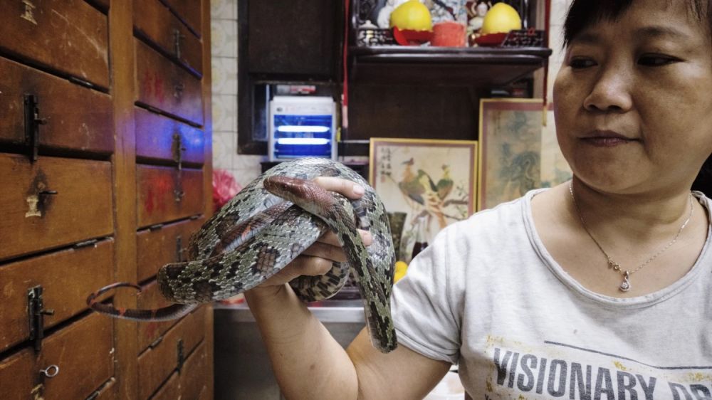 Súp rắn - món ăn sưởi ấm ngày đông buốt giá 8