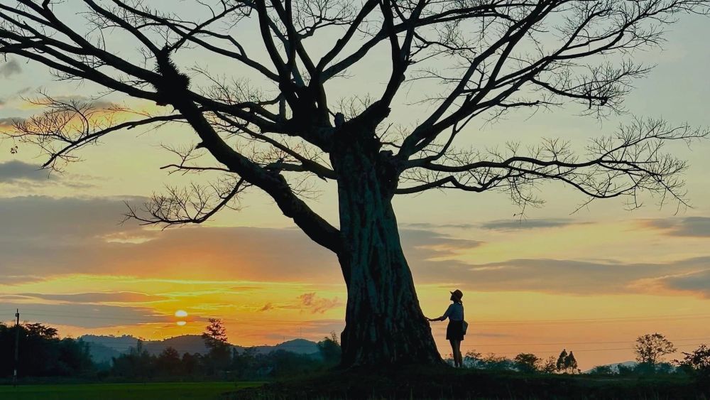 Tận hưởng trọn vẹn cảnh sắc Đắk Lắk trong mùa đẹp nhất 10