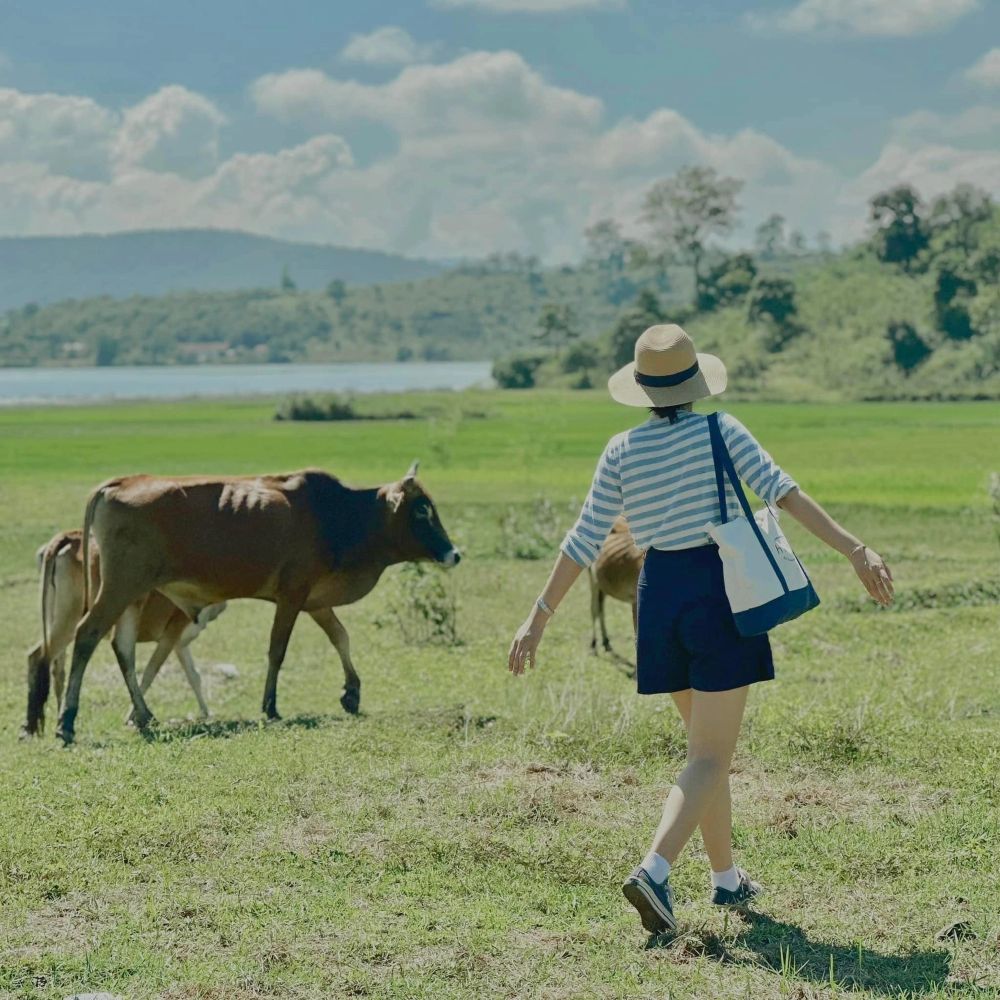 Tận hưởng trọn vẹn cảnh sắc Đắk Lắk trong mùa đẹp nhất 12