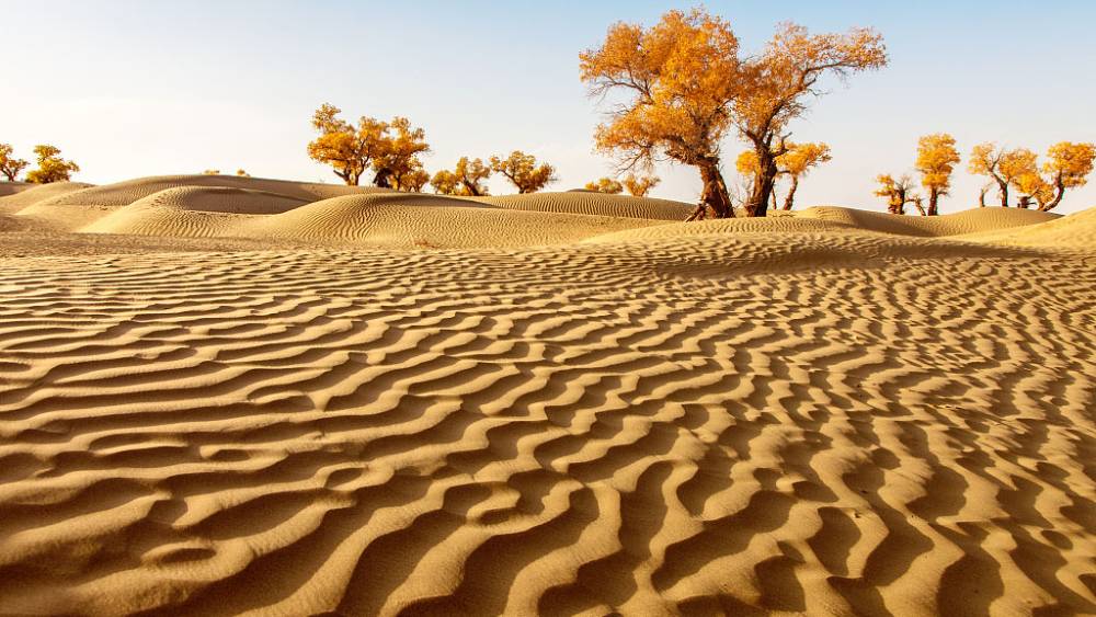 Sa mạc Taklamakan sac mạc dịch chuyển