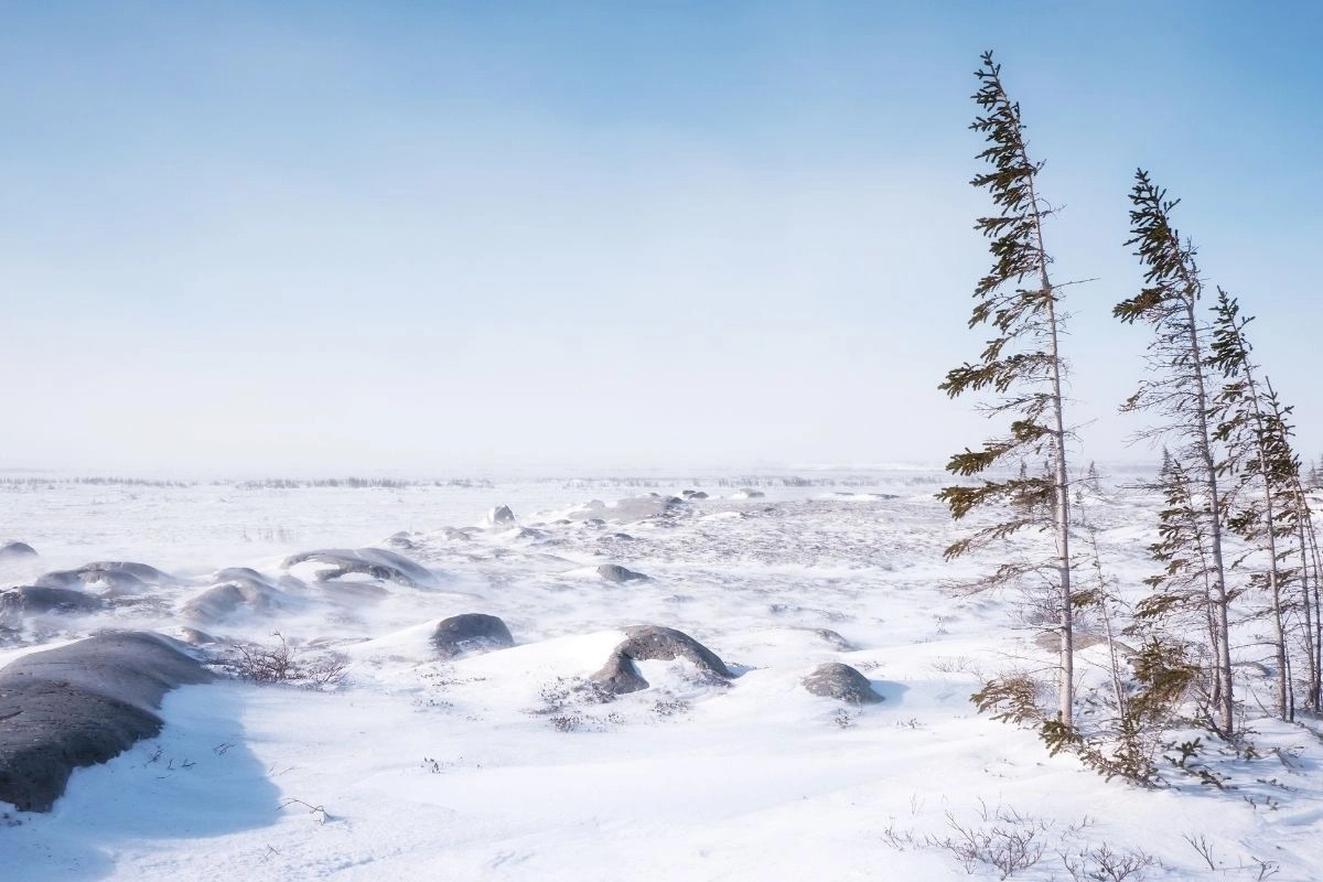 Thiên nhiên kỳ thú ở Canada 7