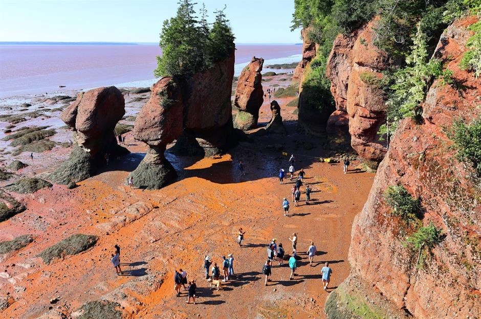 Thiên nhiên kỳ thú ở Canada 9