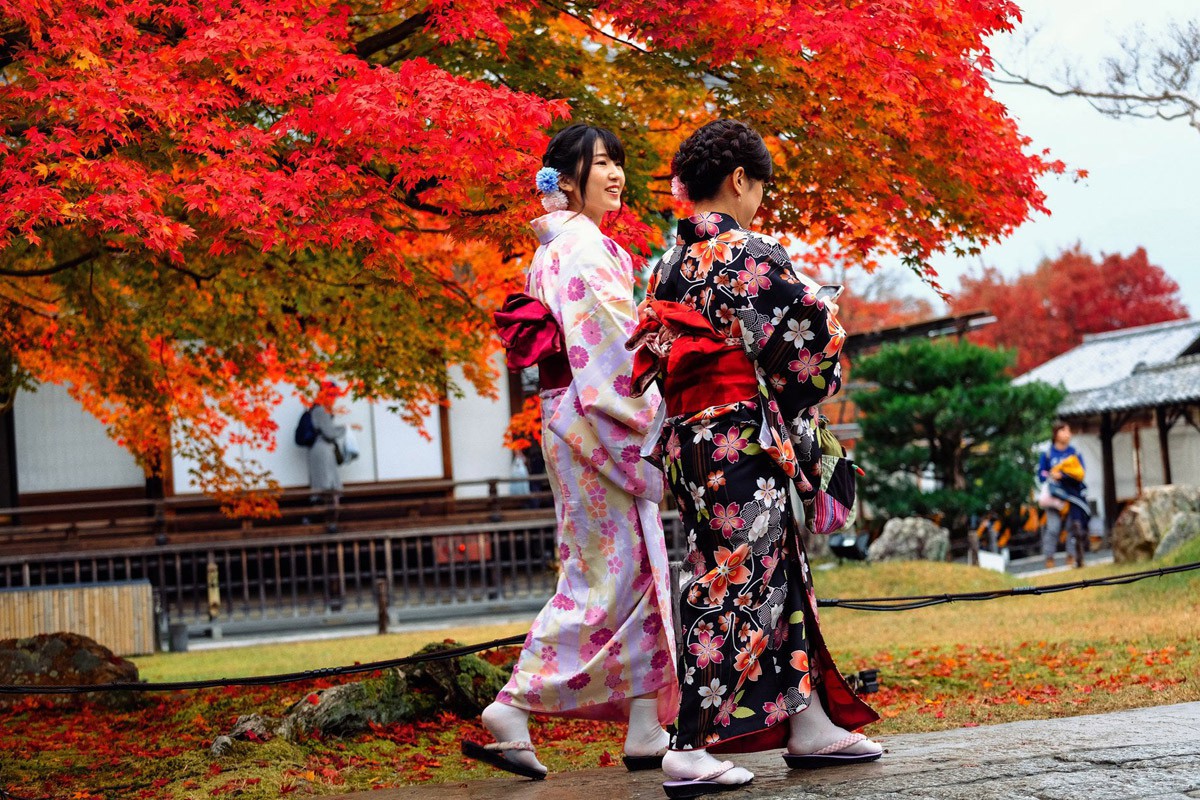 Thời điểm vàng trong năm để ghé thăm Nhật Bản 1