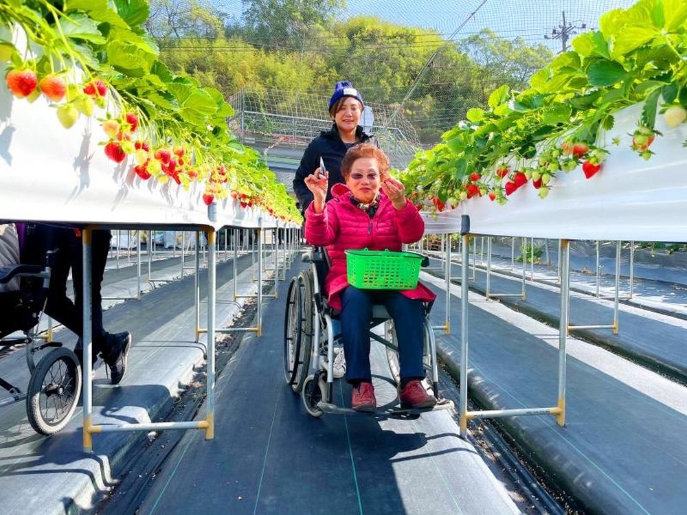 Top 10 điều nên thử khi du lịch Đài Loan vào mùa đông 7