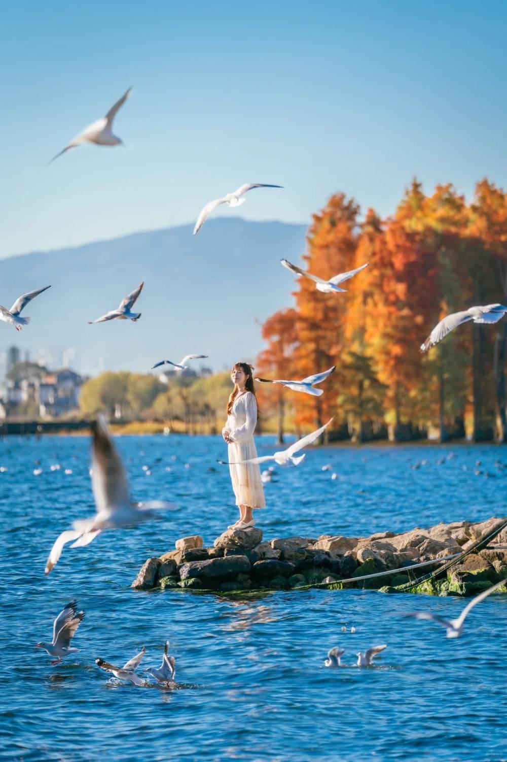 Lệ Giang Cổ Trấn - Shangrila Vùng Đất Bất Tử ảnh 2